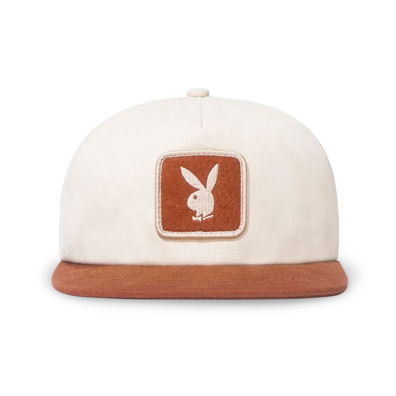 Chapeaux Playboy Camp Homme Blanche Marron | TGNDHSM-17