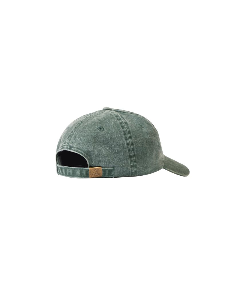 Chapeaux Playboy Ombre Rabbit Head Dad Femme Vert | VEDSMWG-56