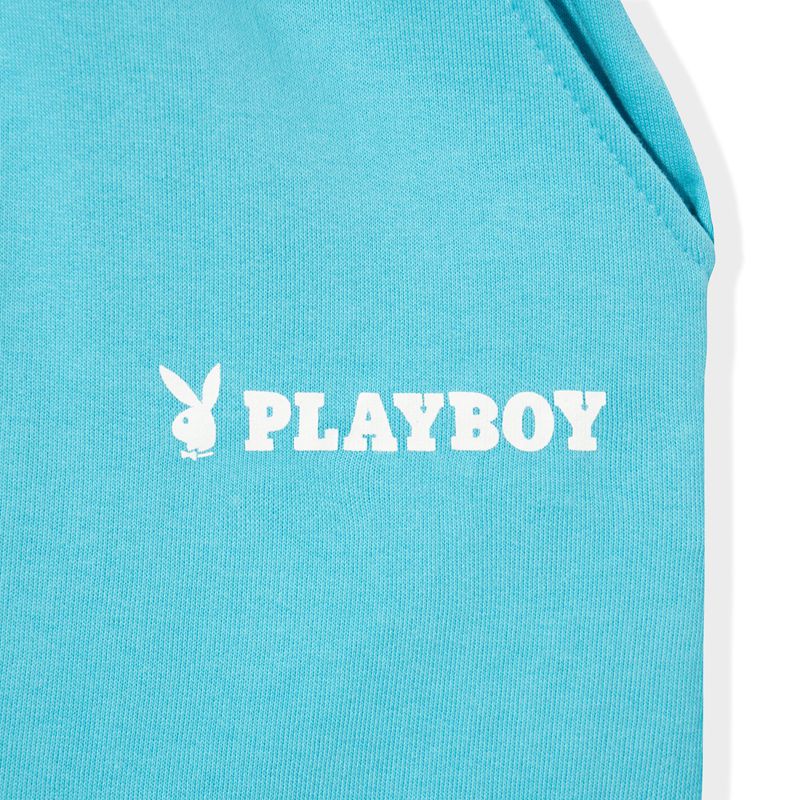 Shorts Playboy Logo Boyfriend Femme Bleu Clair | VDREHJG-75